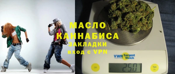 дмт Тавда