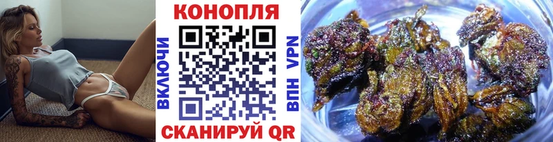 Конопля планчик Холмск